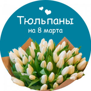 Купить тюльпаны в Архангельске